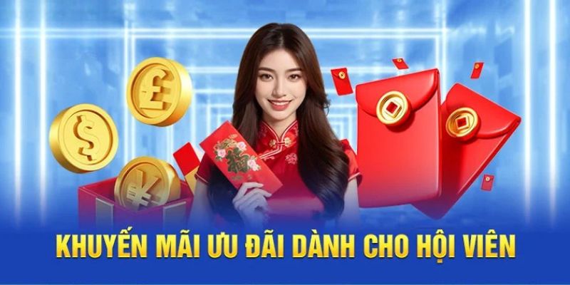 Khuyến mãi và ưu đãi dành cho hội viên