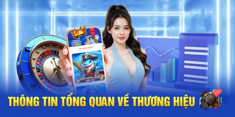 Giới thiệu tổng quan về HM88